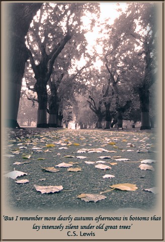 Autumn Greetings