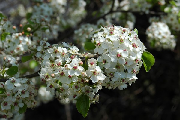 Spring has sprung!
