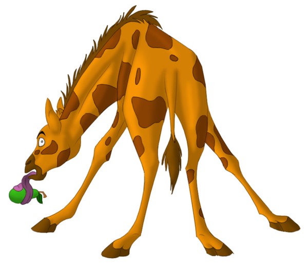 Tamu the Giraffe