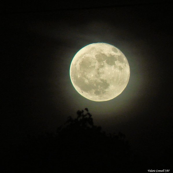 Full Moon On The Rise