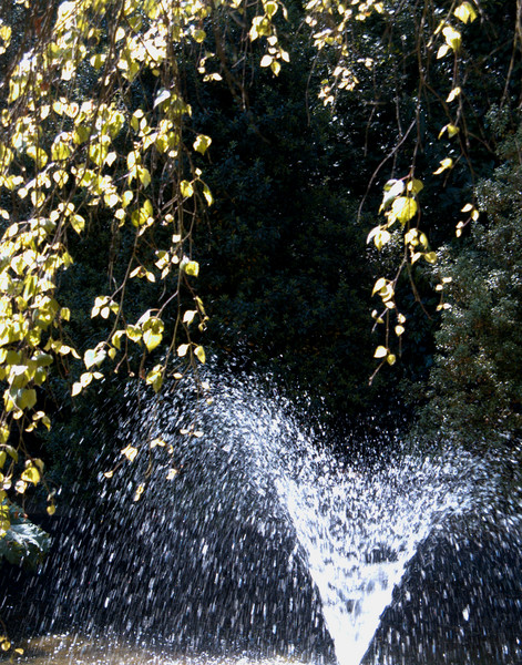 Spray of water