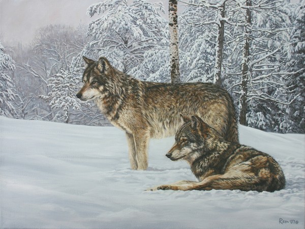 Snow Patrol