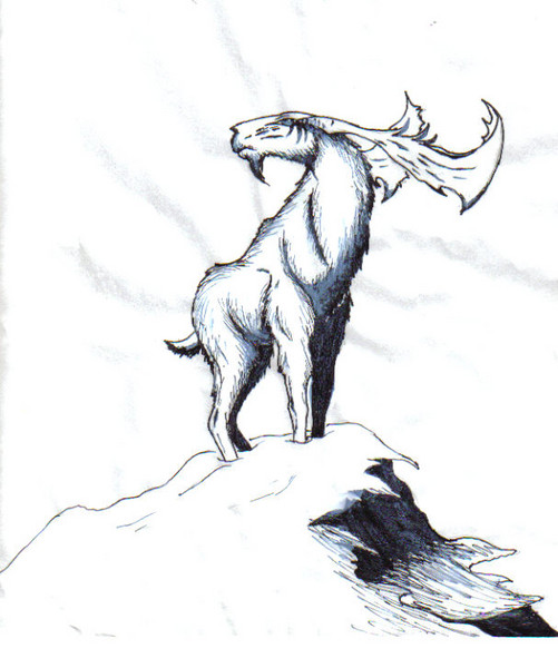 Mirador