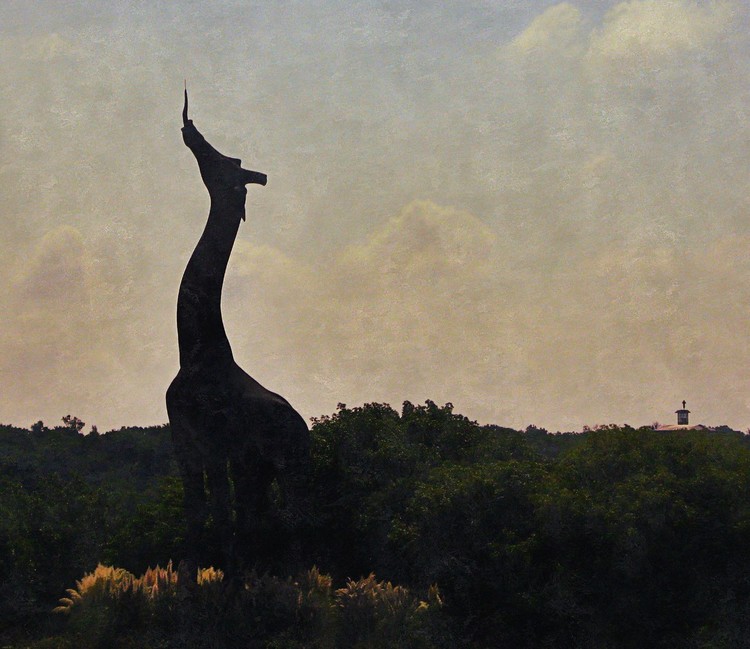 Dallas Zoo Entrance