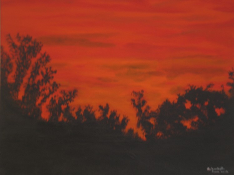 Sunset from my Garden