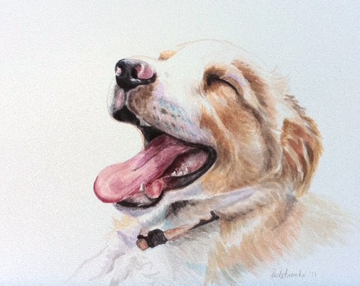 The Laughing Dog