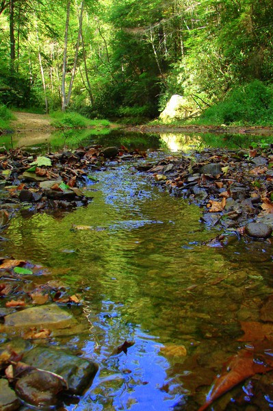 Caney Creek