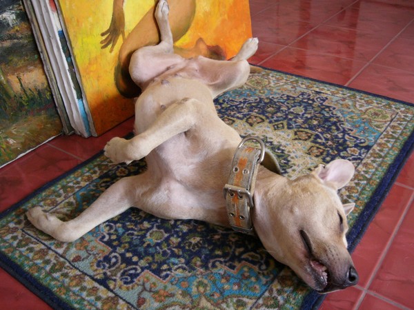 Shoubi Making Herself at Home!