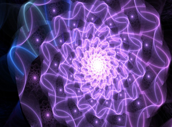 Purple Flower