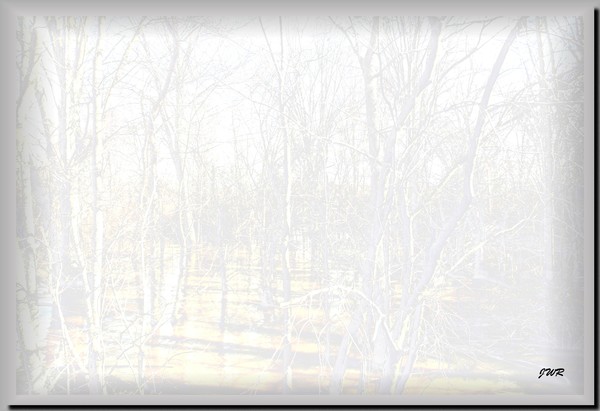 Series 