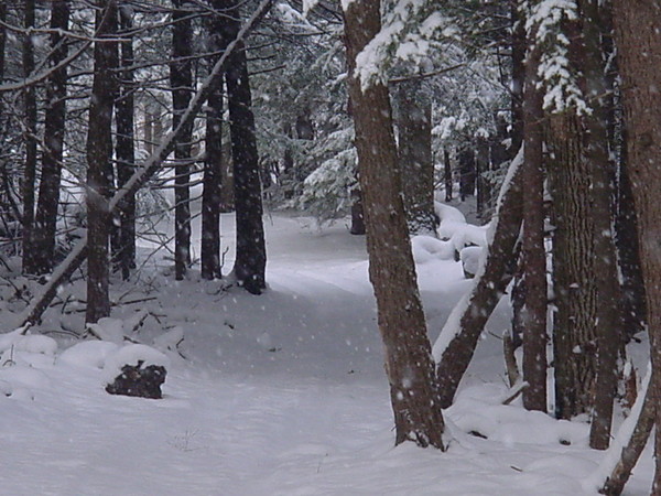 First Snow