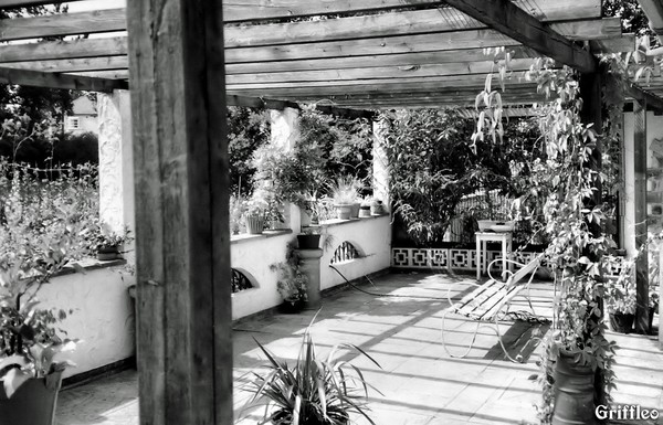 OUR OLD VERANDA