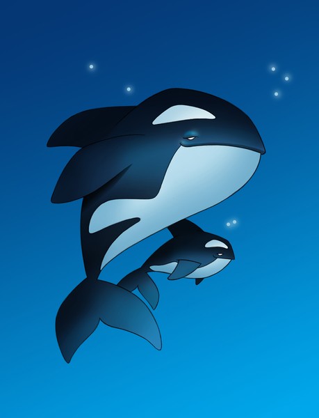 Killer Whales