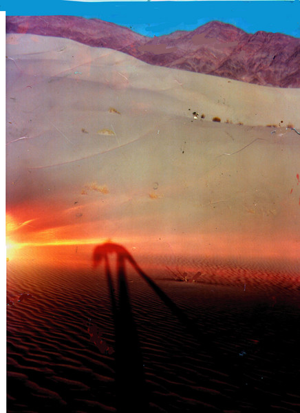 Shadow Desert
