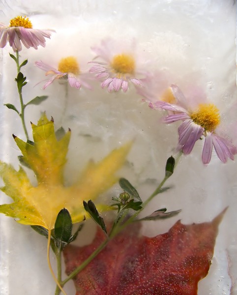 The last day of autumn