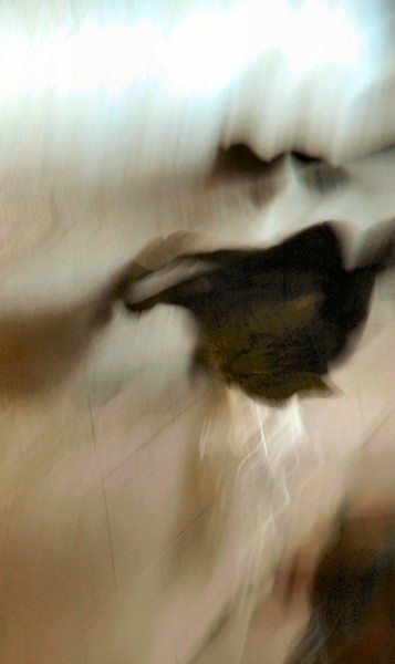speed mood narrative - dreamscape