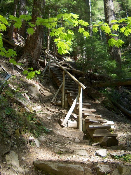 Going Up?