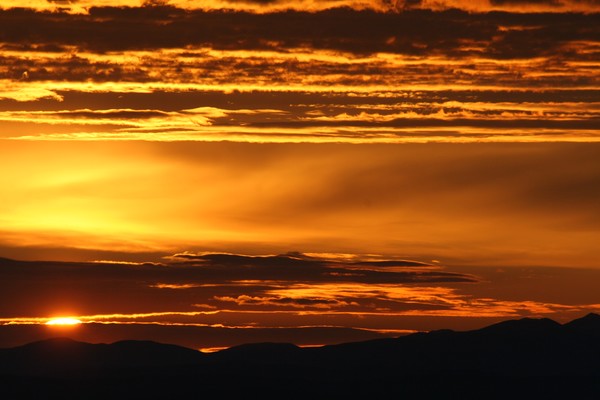 Golden Morning