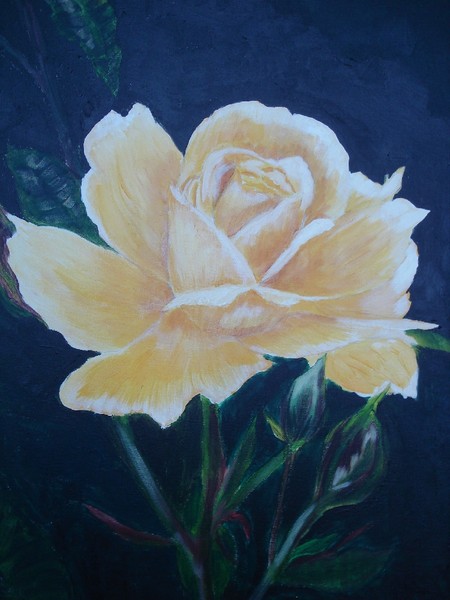 yellow rose of texas