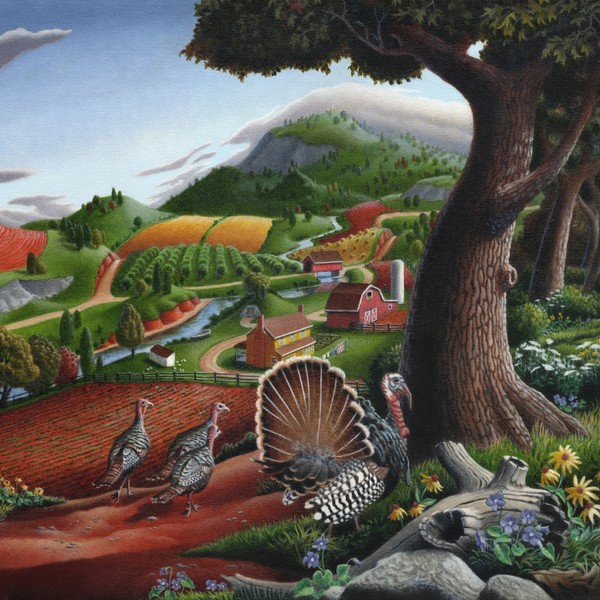 Wild Turkeys In The Hills - Square Format Art