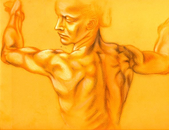 Micelangelo study