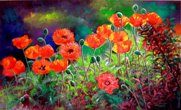 Nacarat poppy