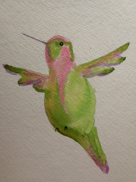 Hummingbird