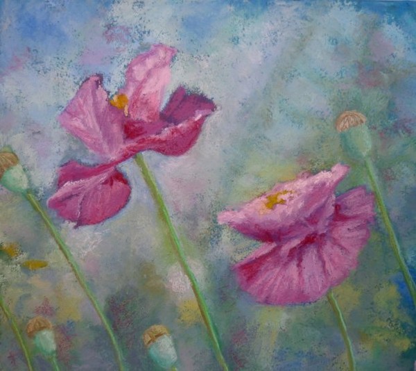 Poppies for Margaret