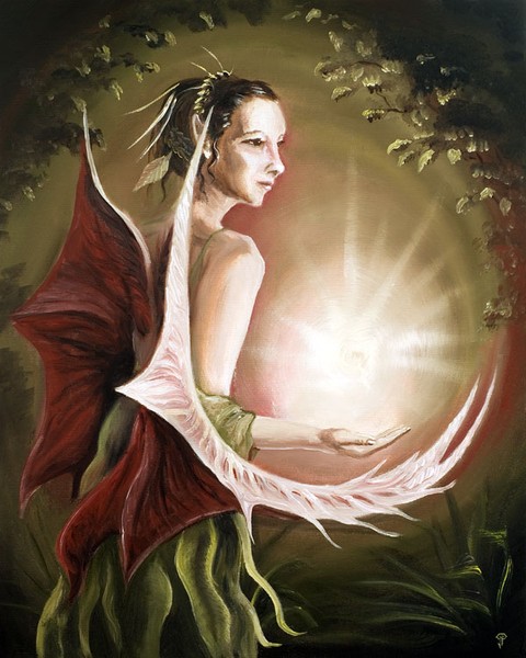 Light of Creation