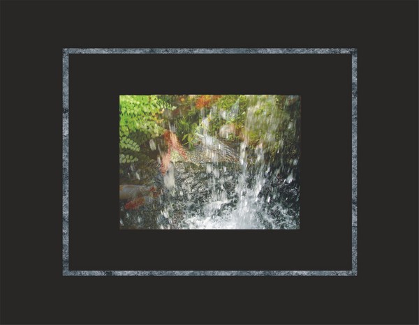 Splashing Coi Pond