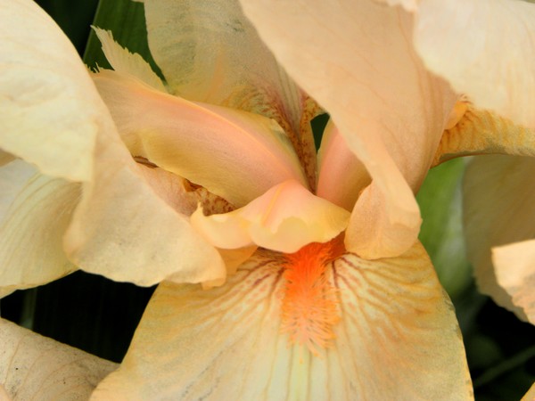M.Easter Photo Blog_7 image 7.1