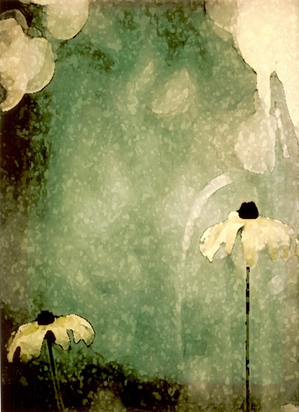 Daisies in the Wild