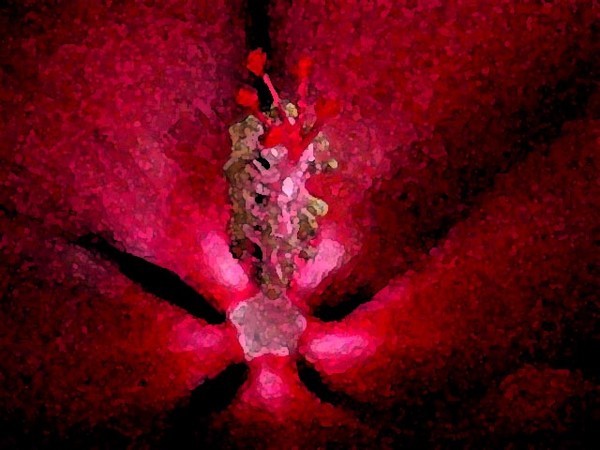 Nature's Exquisite Hand