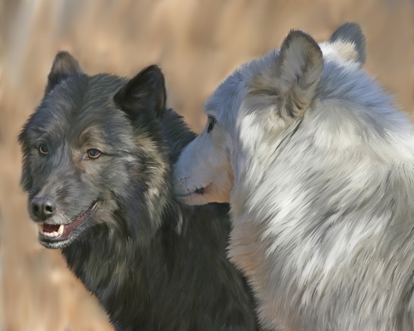 Telling Secrets