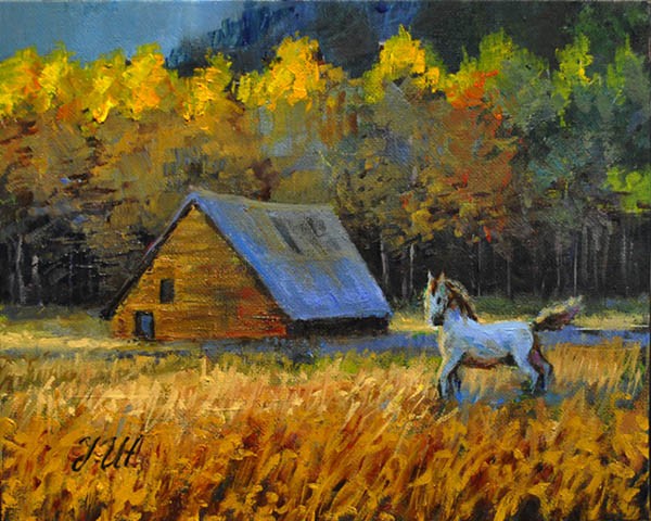 Autumn meadow.