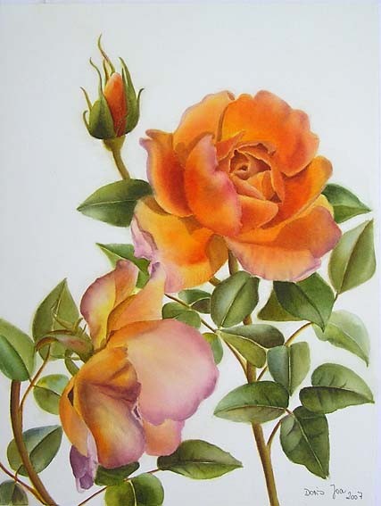 Rose Pat Austin