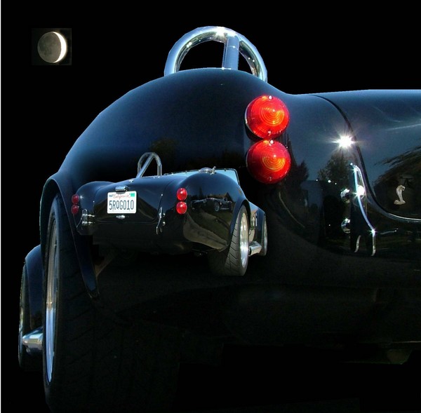 Midnight Cobra
