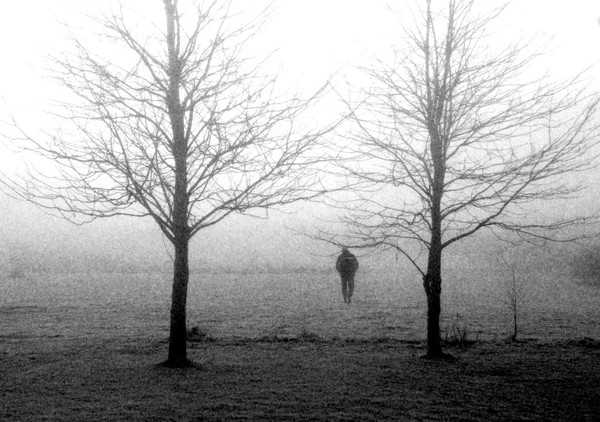 Foggy Morning