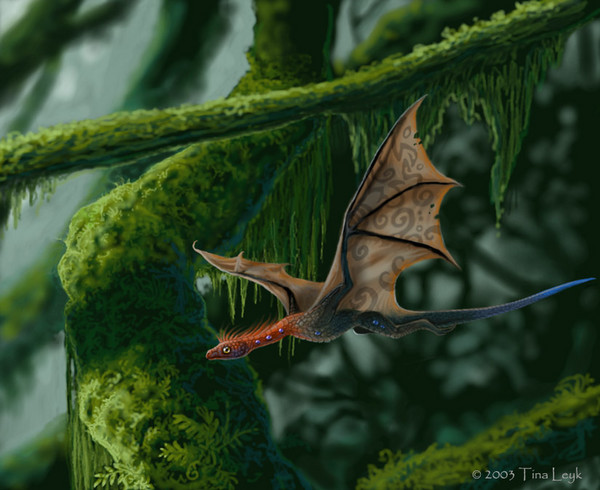 Little Wyvern Amongst the Moss
