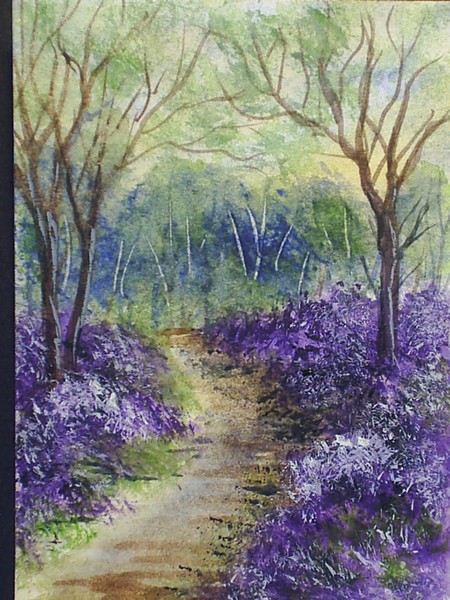 bluebell wood