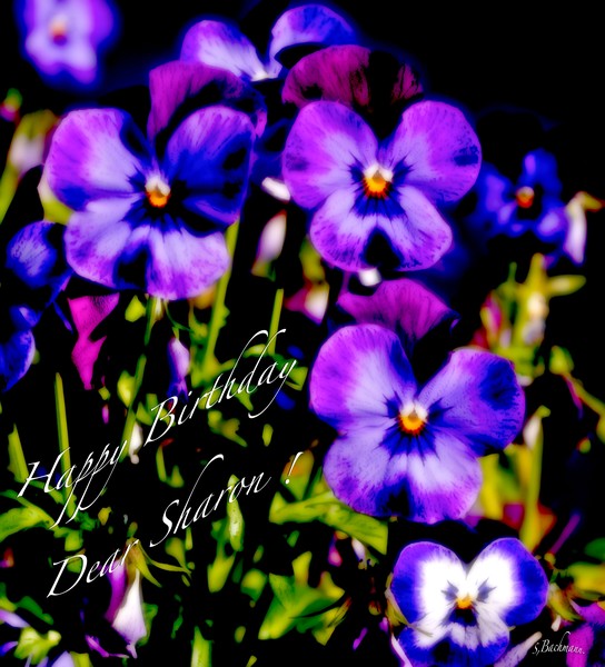  Happy Birthday dear Sharon !