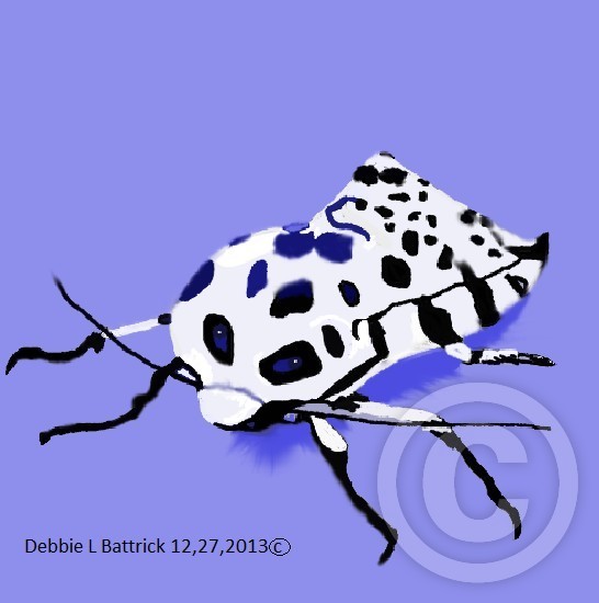 Don't be afraid of the Bug