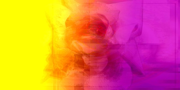 Yellow & Purple No2