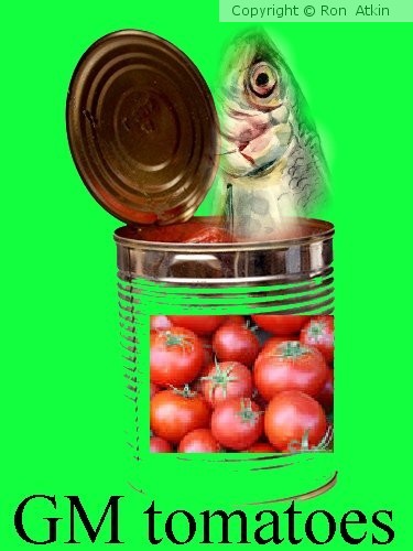 WHAT IS IN A USA TIN OF FOOD