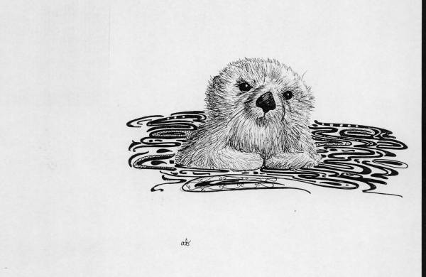 Otter