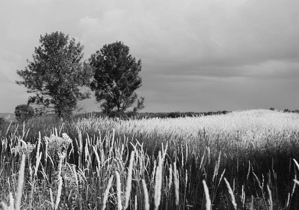 La Crescent, MN.