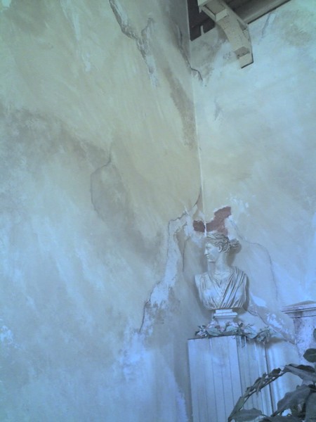 HAND TROWLED VENETIAN PLASTER