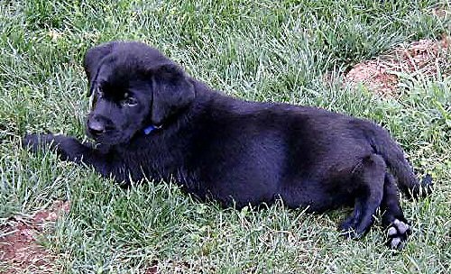 I'm cute and I know it!