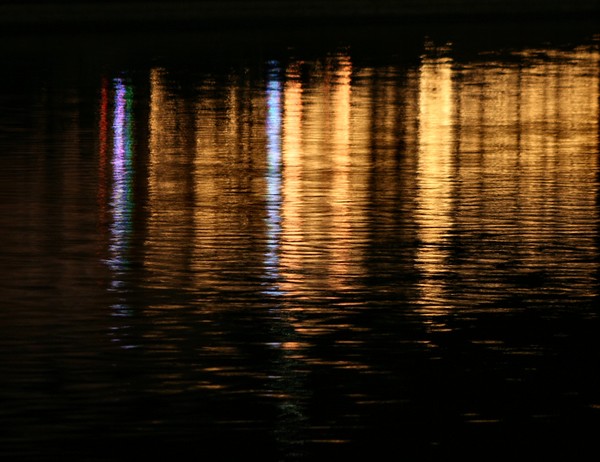 Holiday Reflections