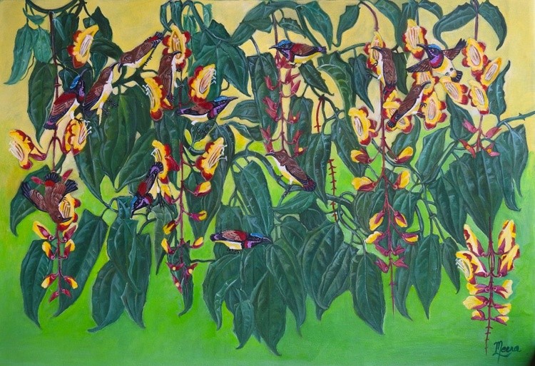 Crimson back sunbirds and Thunbergias